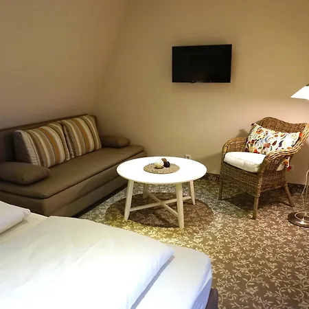 Guest house Mansion