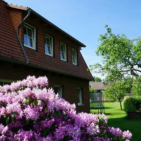 Guest house Mansion *